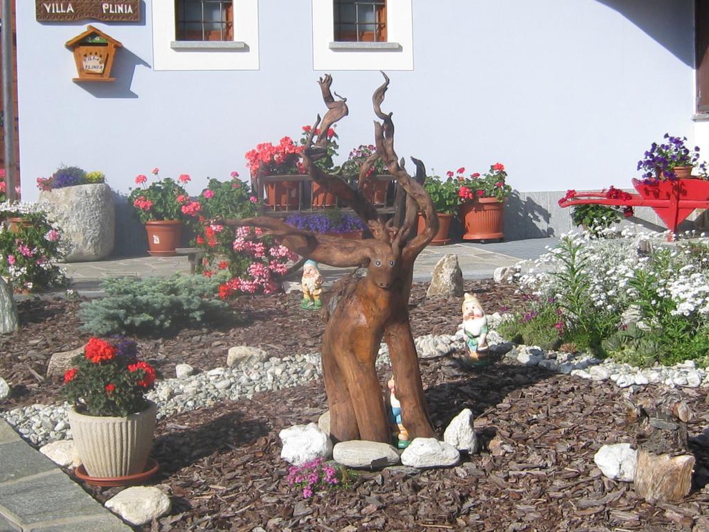 Hotel Villa Plinia Pragelato Buitenkant foto
