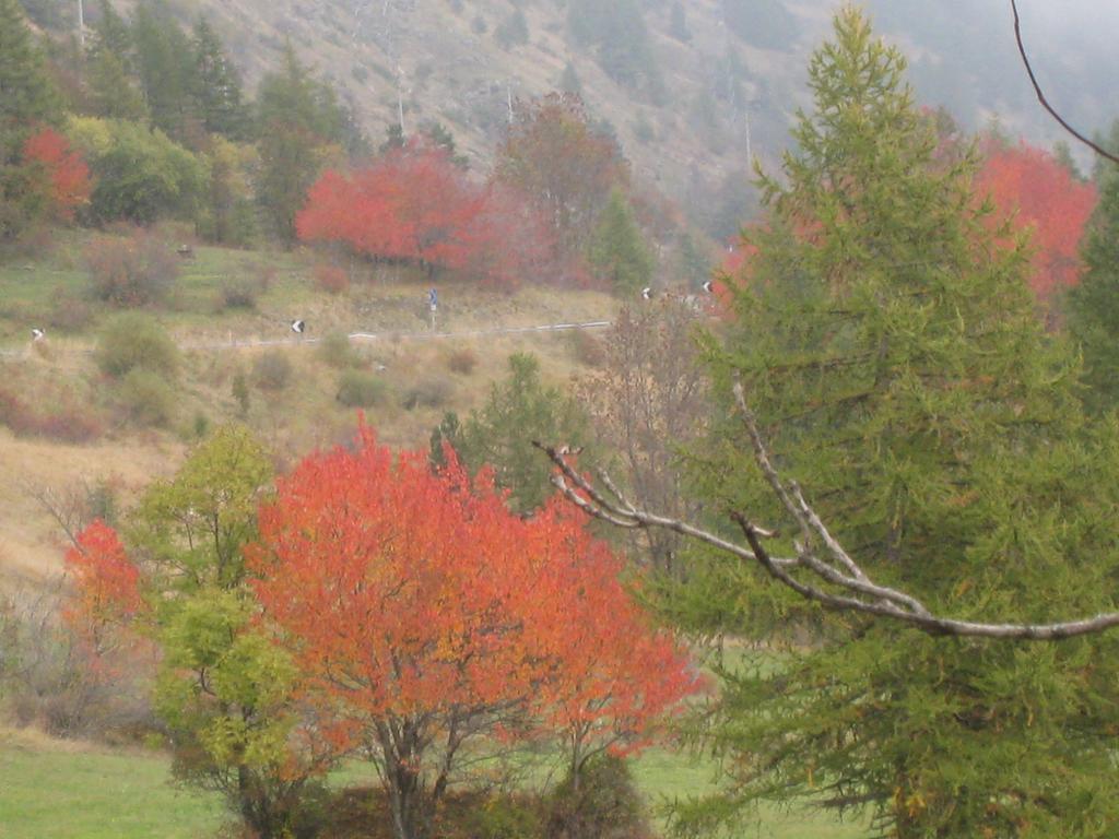 Hotel Villa Plinia Pragelato Buitenkant foto
